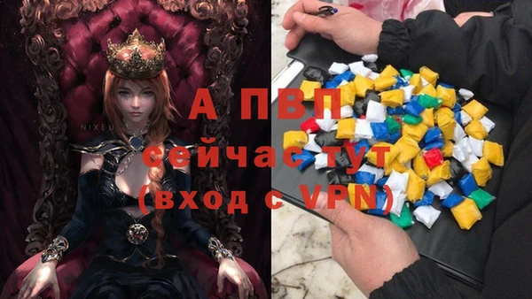 эйфоретик Магадан