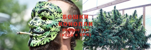 MESCALINE Майский