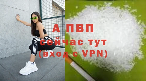 эйфоретик Магадан